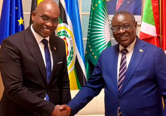 Burundi / Diplomatie : Rencontre entre Nyamitwe Willy et Ntahiraja Thérence à Bruxelles